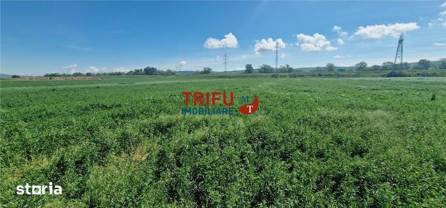 Teren de vanzare zona Soseaua de Centura - 1