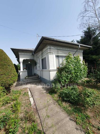 Samurcasi, str. Guliei, casa parter cu teren - 2431 mp - 1