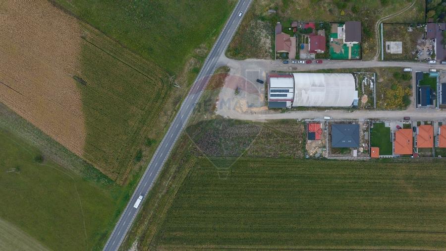 Un lot de casa intrare Sacele 790 mp - 9