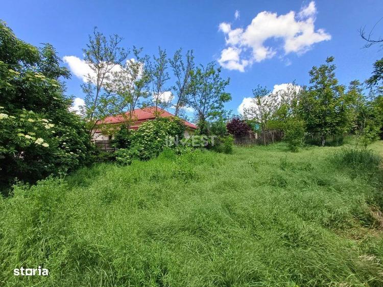 Teren Intravilan, 602 Mp, Rediu - 2