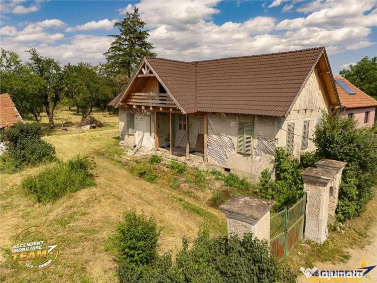 FILM! Casa personalizabila 2.700mp teren,pomi fructiferi,la - 9