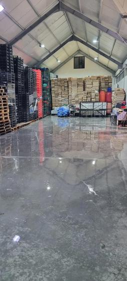 Hala 300mp+Depozit frigorific - 1