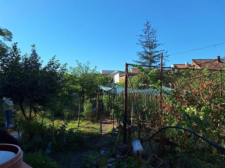 Reco, Casa Oradea Central - 7