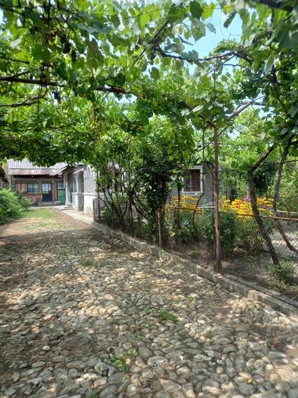 vand casa si teren,acte la zi,apa,lumina,gaze,put - 2