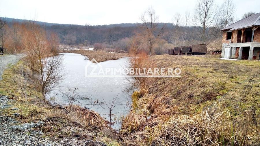 Casă 140 mp, 5800 mp teren, intravilan + Lac zona Vațman, Corunca - 12