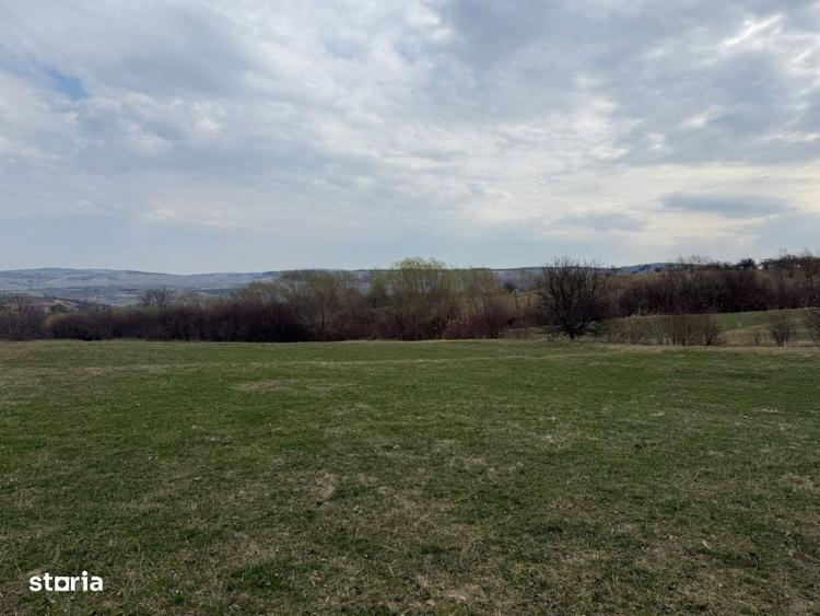 Oportunitate pentru investitie, Teren 8600 mp , Corusu, comuna Baciu - 2