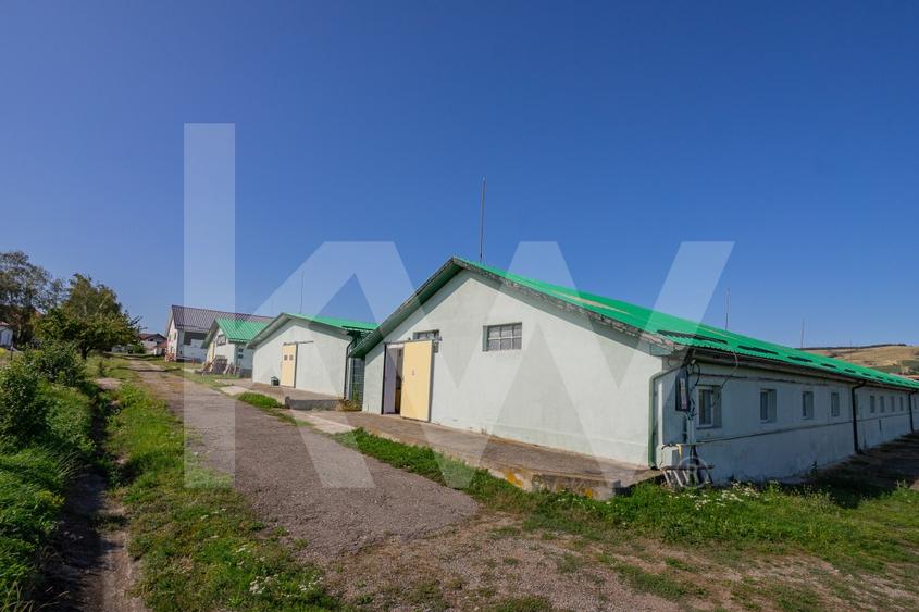 Hala industriala | productie | depozitare | cantina | 826mp | Sebes - 2