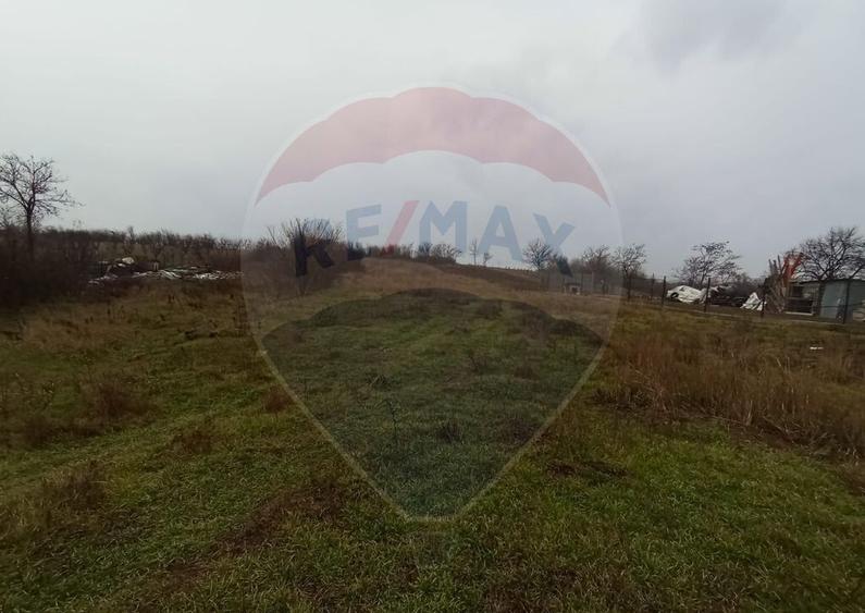 Teren de vanzare in Pielesti - 8