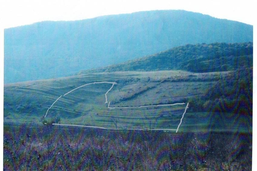 Teren de vânzare, 24.911 mp - 3