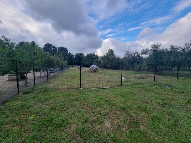 Oferta casa Dragsina P+M - 9