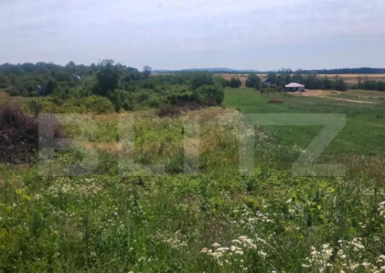 Teren intravilan Ardud Vii - 1