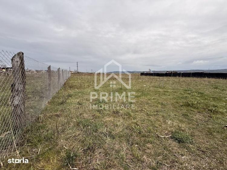 Teren Intravilan 525 Mp, Zona Linistita, Alba Iulia - 2
