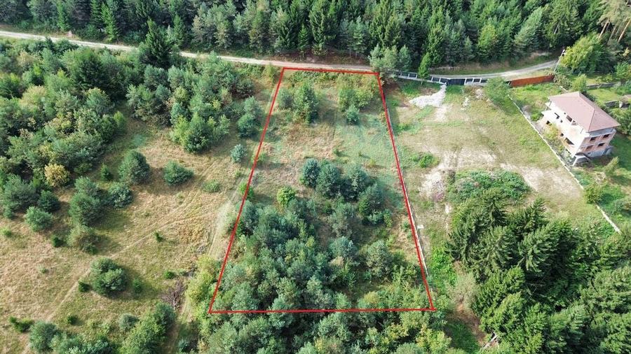 Comision 0%! Teren Sacele / Strada Valea Larga 2000 mp - 5