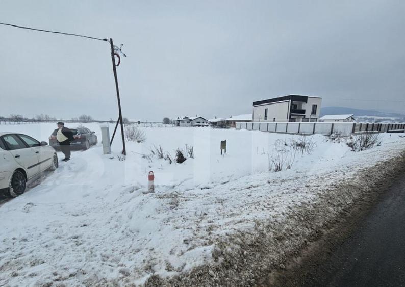 Teren extravilan 16 arii Jelna - 5