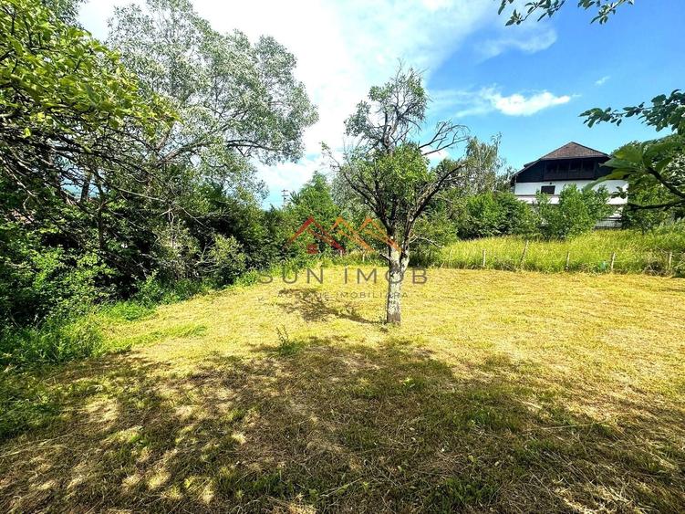 Teren 2037 mp, 17 ml deschidere, 28 euro/m2, vedere panoramica - 8