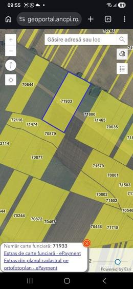 Proprietar teren arabil 6,5 ha, com Vutcani, jud Vaslui, 6900euro/ha P - 1
