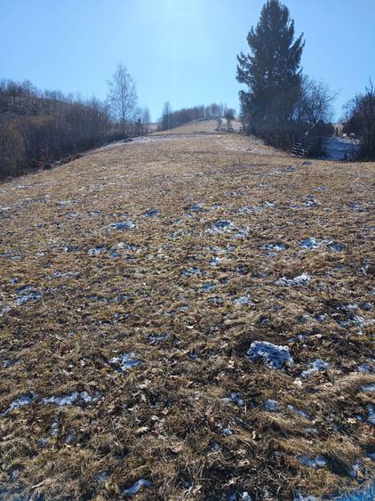 Teren de vanzare - 2