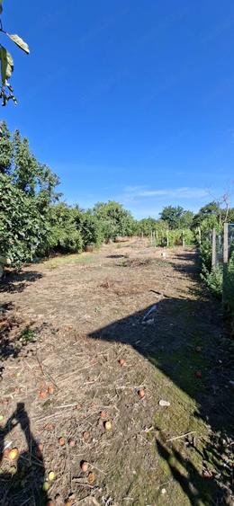 Casă cu Teren 2193 Mp în Măgurele