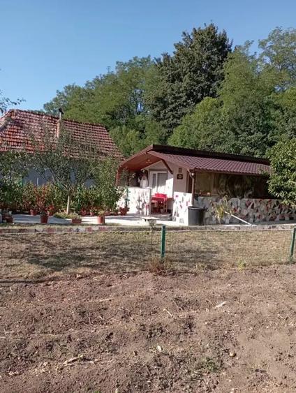 Casă cu 2 camere în Sârbi