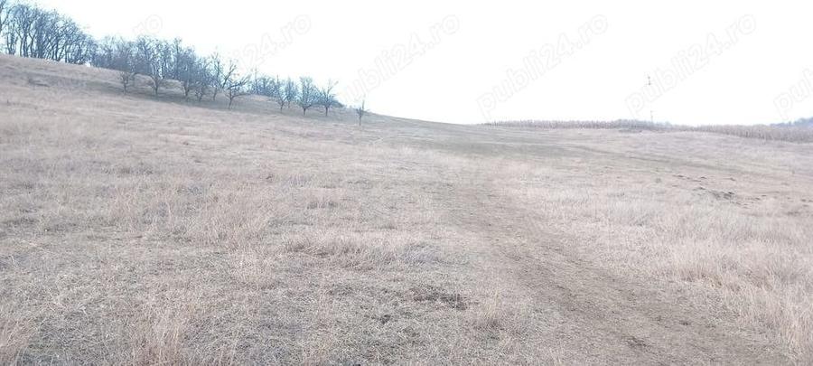 Teren de 5700 mp, în Central