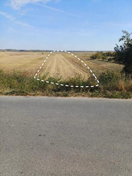 Teren de 5000 mp, în Gura Șuții