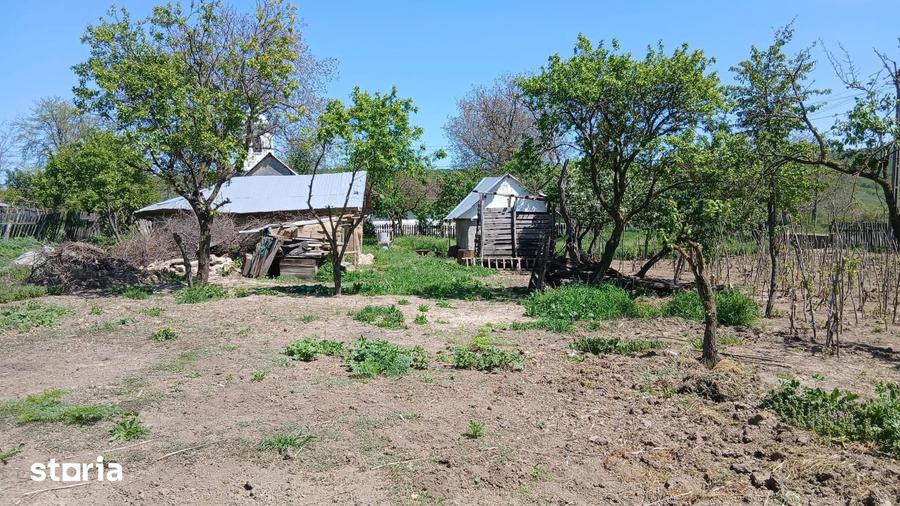 De vanzare casa ?i teren cu o suprafata de 5914 mp, 25.000 euro - 6