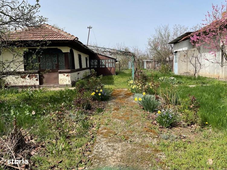 Spațiu comercial, în Frumușani