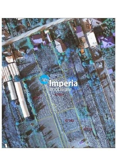 Teren intravilan de vanzare in Iasi, zona Aroneanu