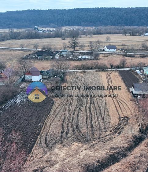 Teren intravilan de 10515 mp, în Bodești