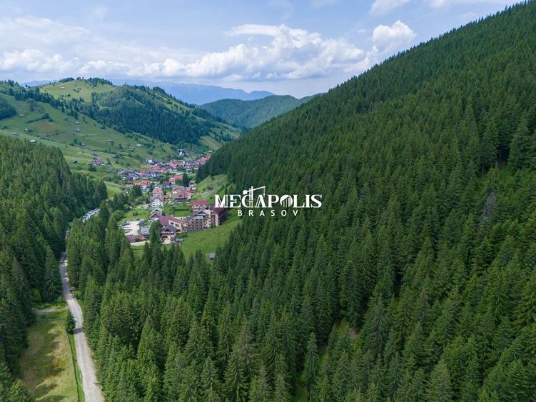 Teren Construcții intravilan de 12307 mp, în Moieciu de Sus