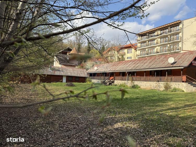 Teren cu potential investitional Sovata, zona Lacul Ursu - 13