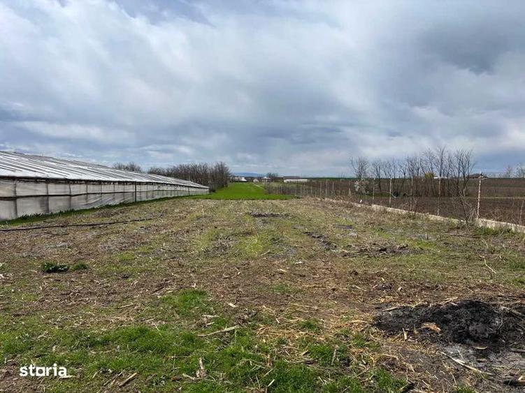 Teren Intravilan Corod jud. Galati - 61 ari - 1