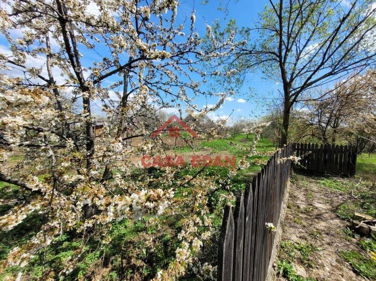 Casa si hala in Baicoi--78.500e - 2