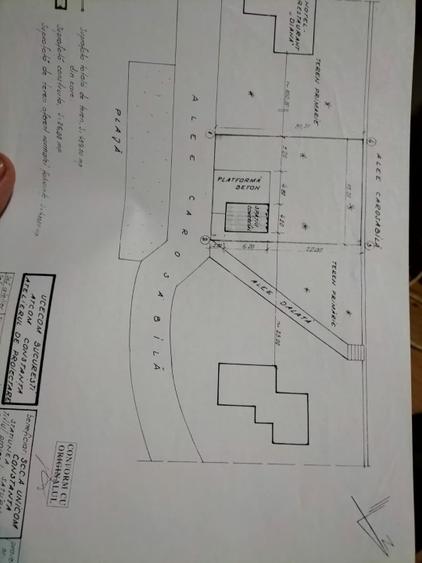 TEREN LA BUZA MARİİ - 1