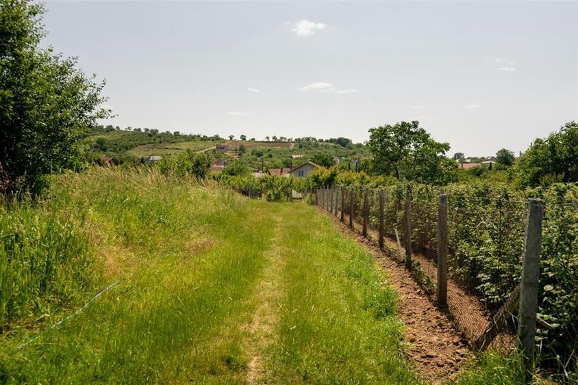 Teren intravilan de 1200 mp, în Paleu