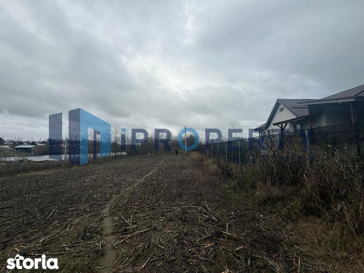 Direct Proprietar Teren 2.000 Mp | Ileana - Calarasi | Dubla Deschider - 5