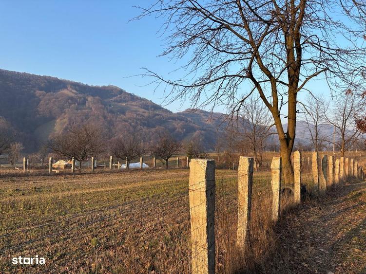 Teren intravilan de vanzare, 3111mp, acces asfaltat - 10