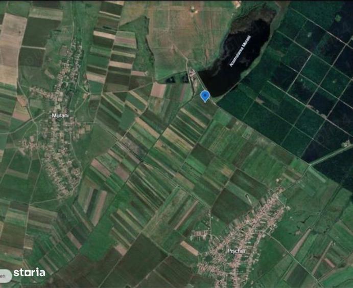 Vand 29.300 mp langa padure si lac Pischia - 1