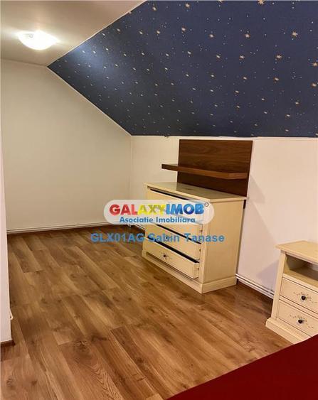 De inchirere vila Stefanesti Lidl ....curte amenajata ter - 3