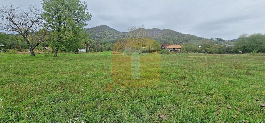 Teren intravilan de vânzare – 1.350 mp – Comuna Alexandru cel Bun - 9