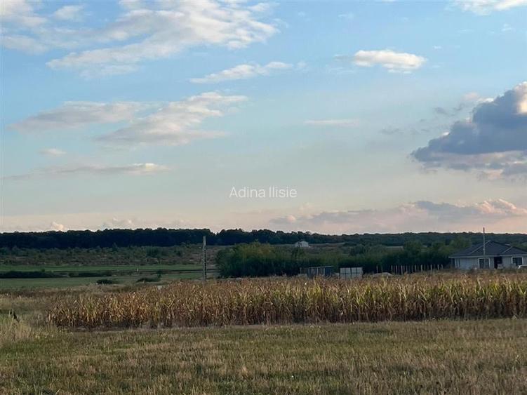 RECO Teren intravilan 5048 mp -Str. Apatelui-zona Grigorescu