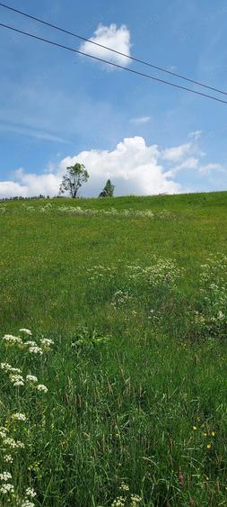 Vand casa 64mp+grajd 35mp+teren 6100mp, curent, apa, internet, deschidere la drum, in sat Glodu - 1