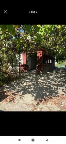 Vand urgent 21.000 euro - 3