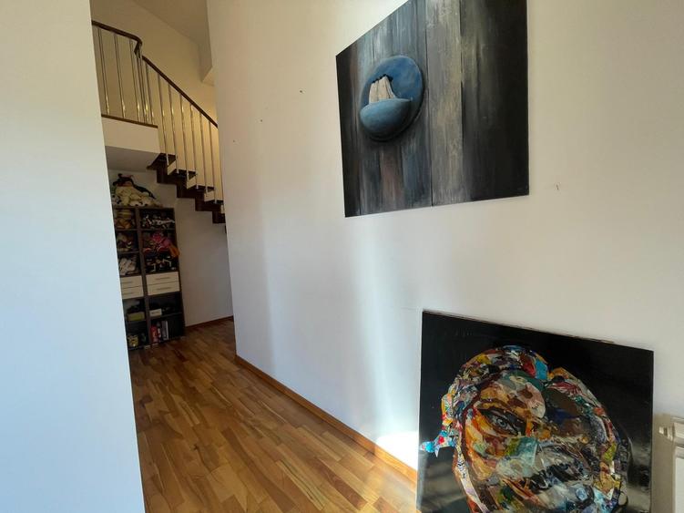 Casa - Damaroaia, Heerastrau, Expozitiei - 38