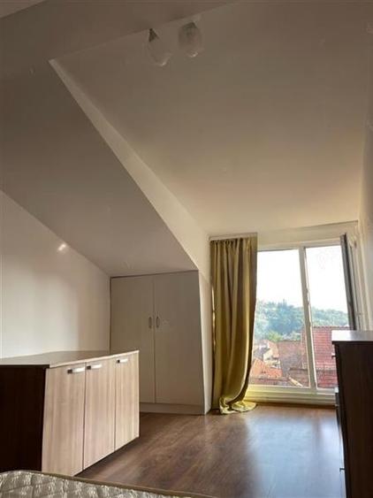 Studio deschis si la regim hotelier, priveliste frumoasa, pet friendly, loc parc - 8