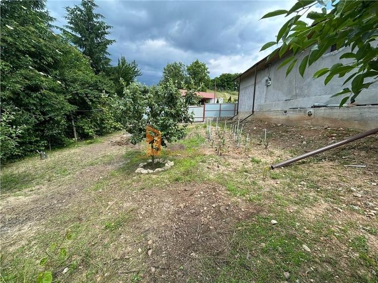 Casa tip parter zona Magura - 17