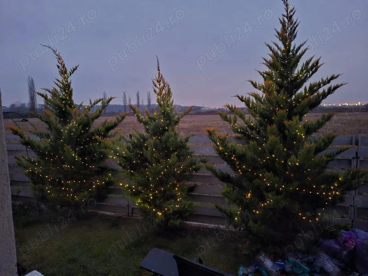 Casa ta te a?teapta in Comuna Darza, Crevedia jud. Dambovi?a - 1