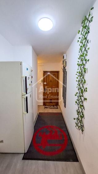 Suprafata Generoasa I Zona Gemenii - 24