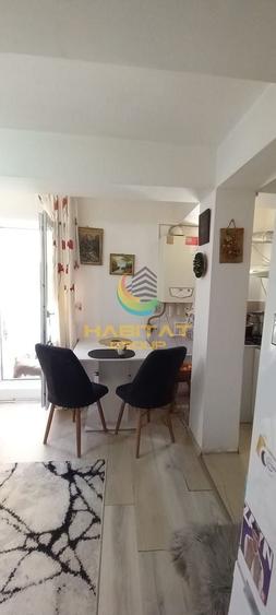 Apartament tip studio mobilat+ curte proprie- Dimitrie Leonida - 3