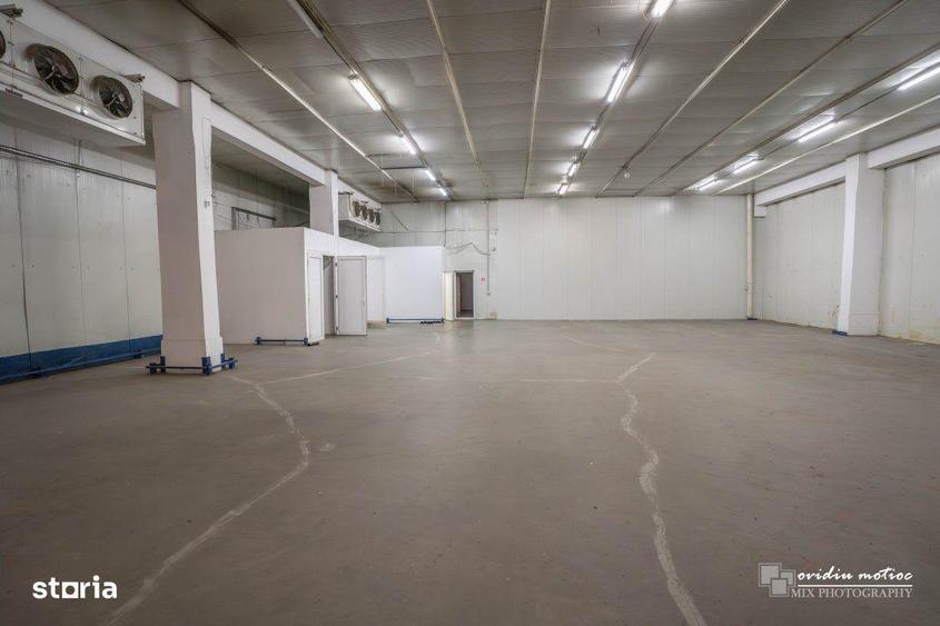 Depozit refrigerare 404 mp si birouri - 3